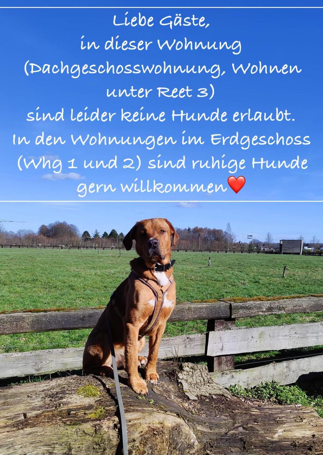 Wohnen Unter Reet Niebüll